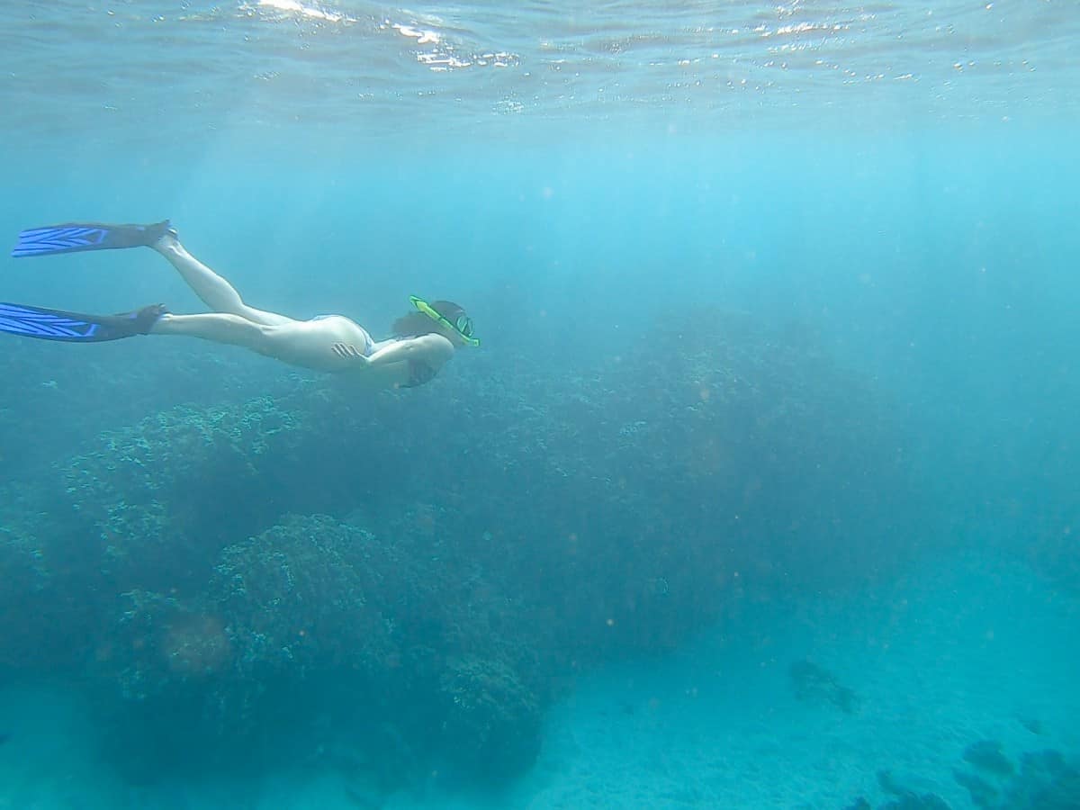 Best snorkeling in hawaii by month