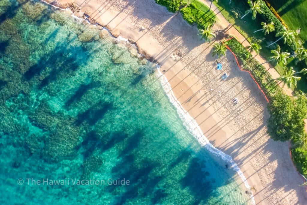 Kapalua Bay snorkeling spot on maui