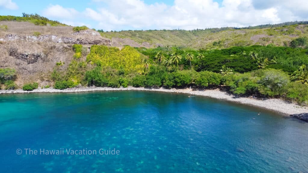 best snorkeling in Hawaii Honolua Bay Maui