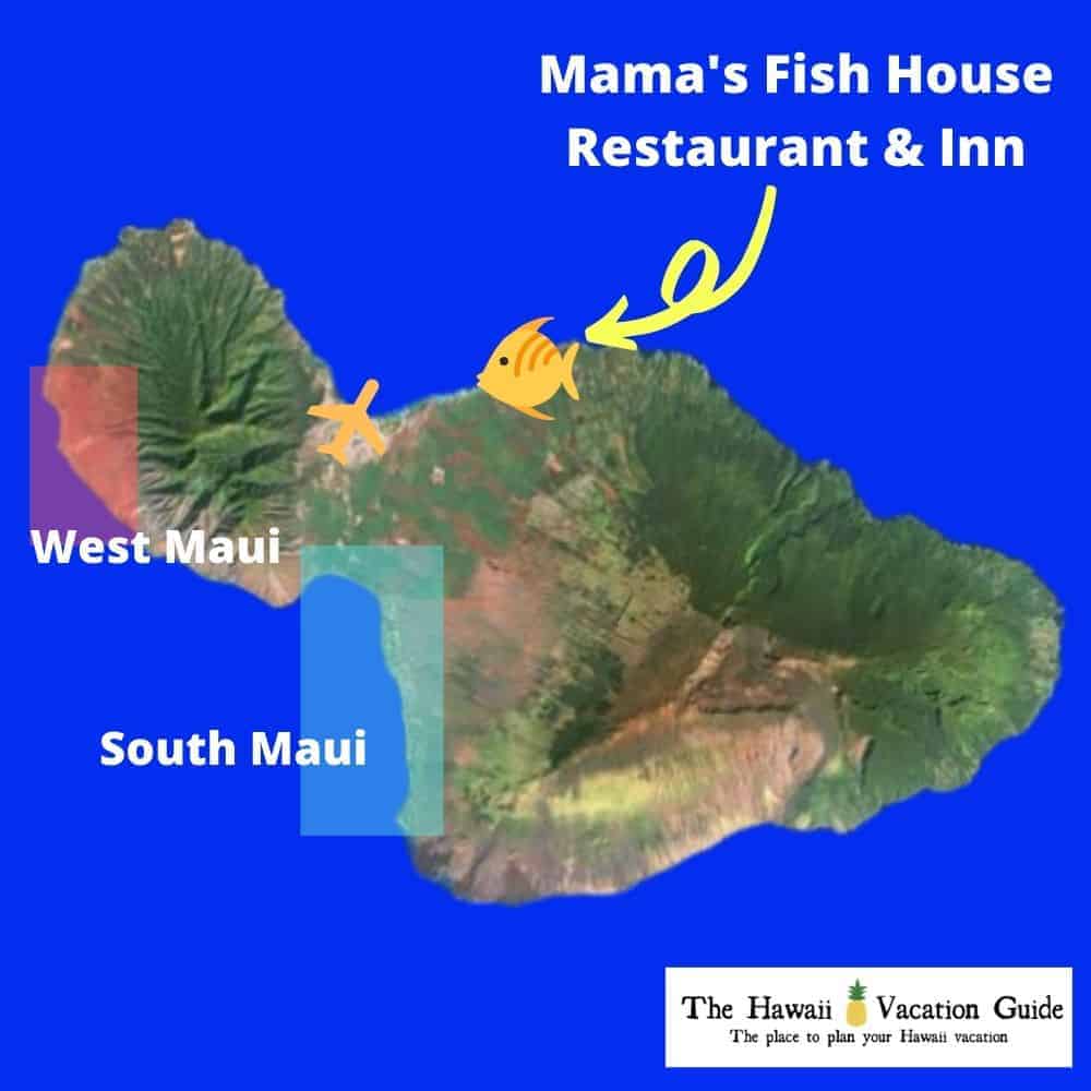 best time to go to mama’s fish house