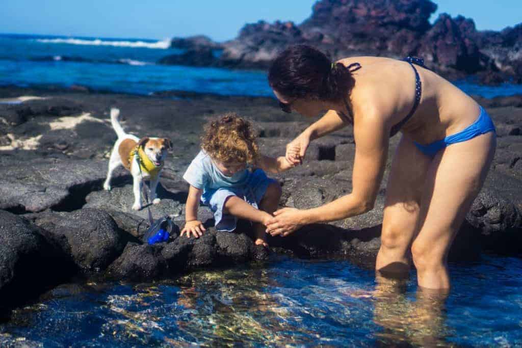 Best Hawaiian island for families