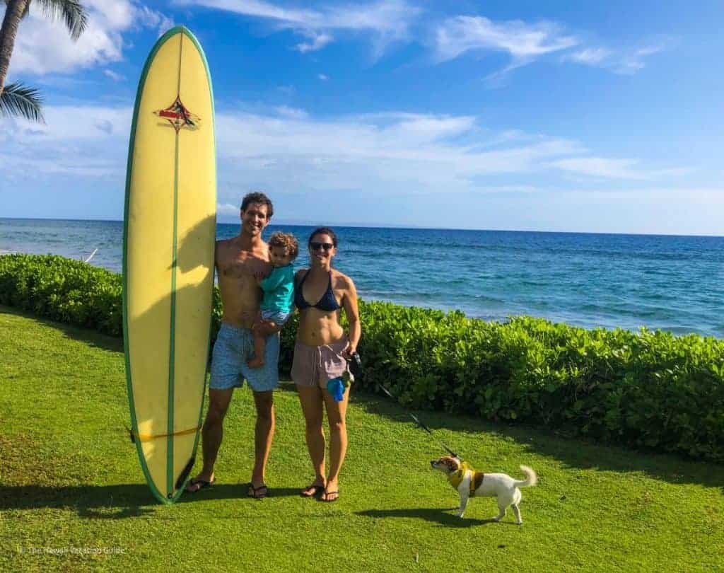 how to bring dog to hawaii our experience