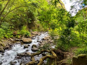 iao valley hike and river swim waterfalls