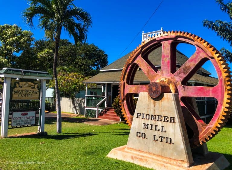 The 15 Best Coffee Shops on Maui