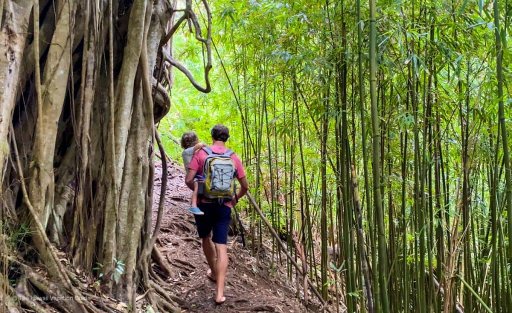 easy hikes oahu Hawaii Judd Trail