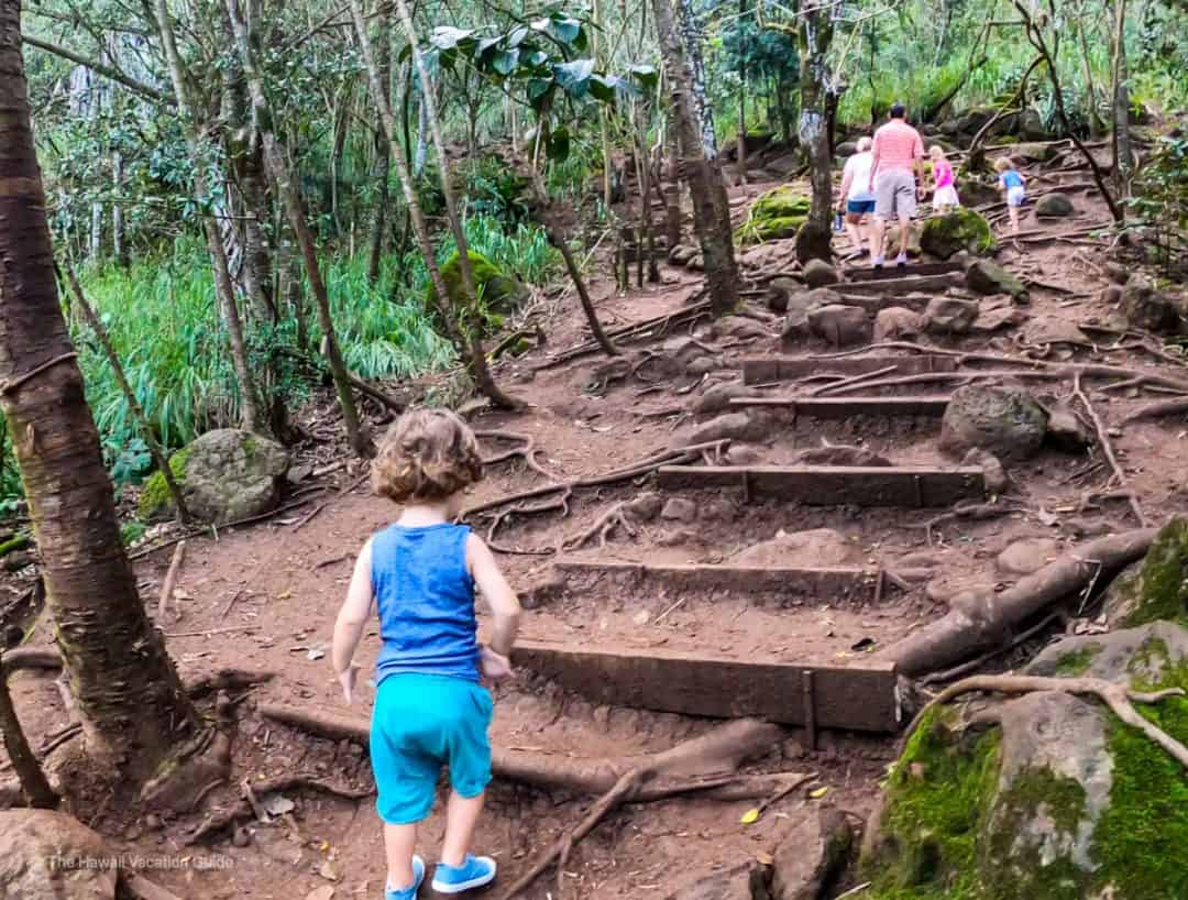The 7 Best Easy Hikes on Oahu - The Hawaii Vacation Guide