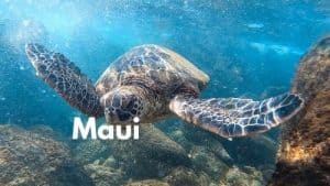 Maui activities and tours