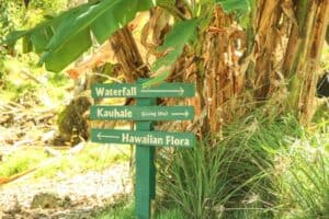 Waimea-Valley-Oahu-Hawaii-Circle-Island-Tour