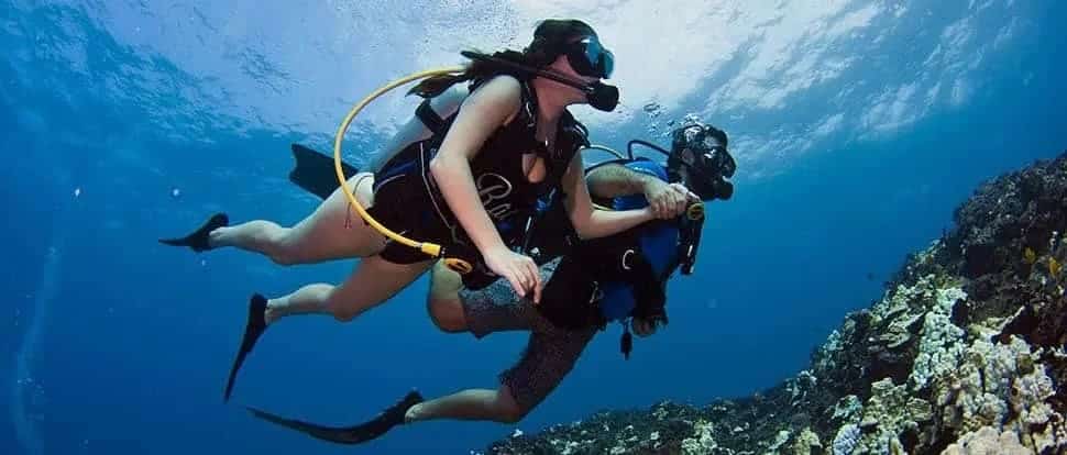 Kona Hawaii SCUBA dive morning dive kona honu divers