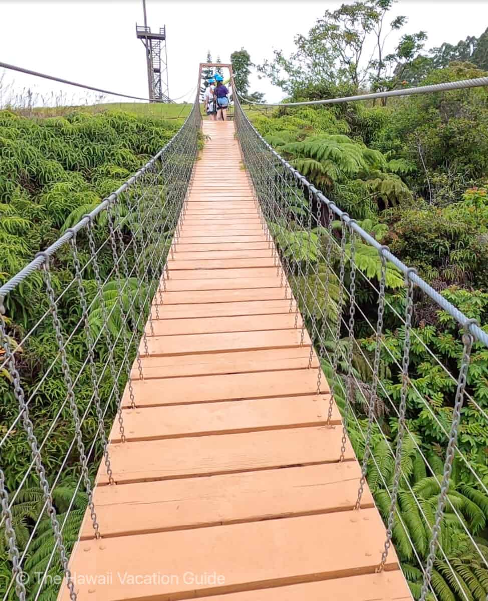 Umauam Falls zipline suspension bridge
