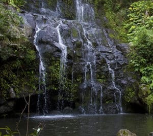 kohala waterfall hike Hawaii forest and trail-2