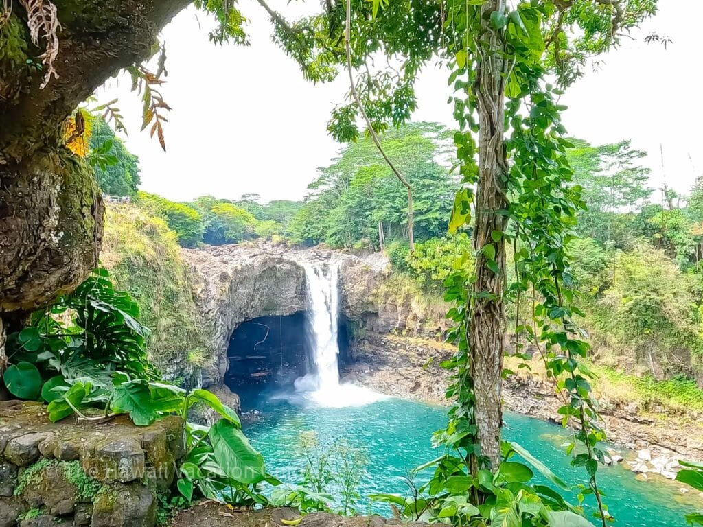 ピカ子ブラシ O!CIRCLE ハワイ Big Island Grand Circle Island Tour: See All of Hawaii! - The