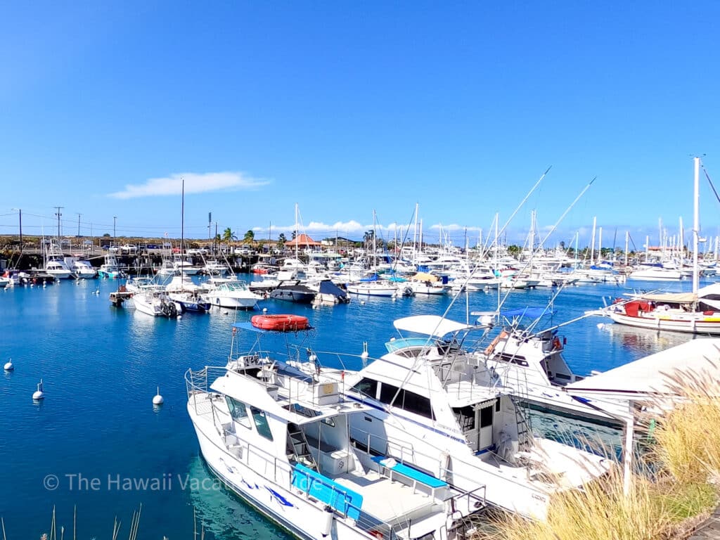 Captain Zodiac Honokohau Harbor Kona