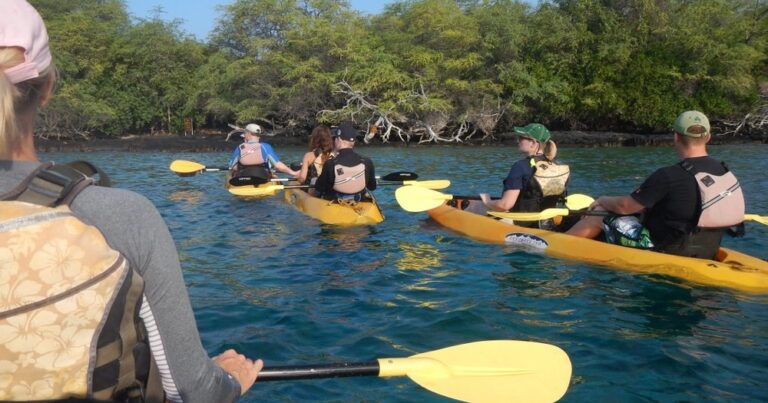 Guided Kayak and Snorkel to Captain Cook Monument