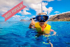 best oahu snorkel tour