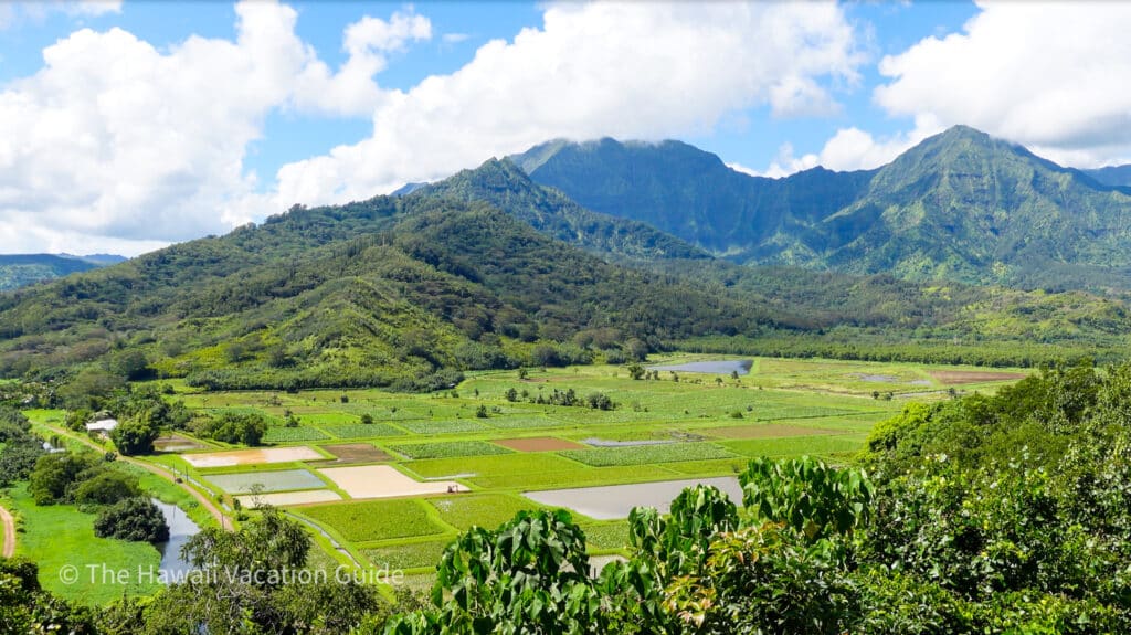 Is There a Best Time to Visit Kauai? (Yes…here's when)