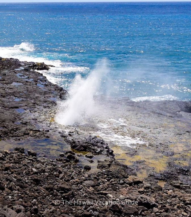 Things to do Kauai with Kids Spouting Horn Blowhole