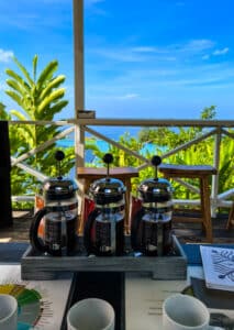 Don’t Miss the 6 Best Kona Coffee Farm Tours