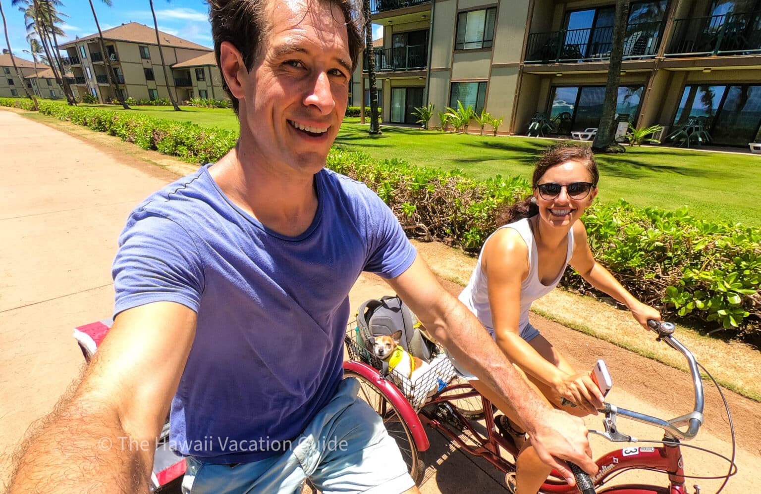 35 Best Things to Do on Kauai (Must Do + See) The Hawaii Vacation Guide