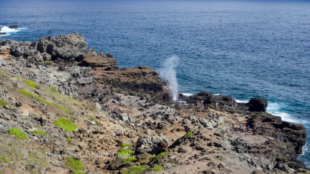 nakalele blowhole west Maui thing to do