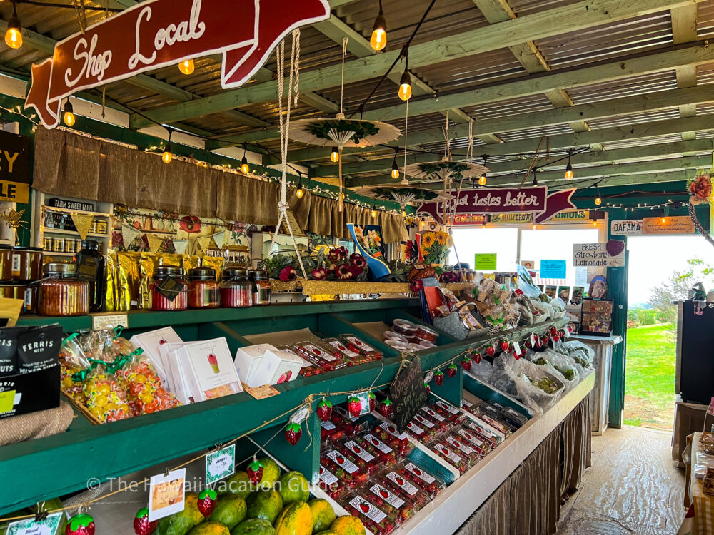 16 Amazing Things to Do in Upcountry Maui - The Hawaii Vacation Guide