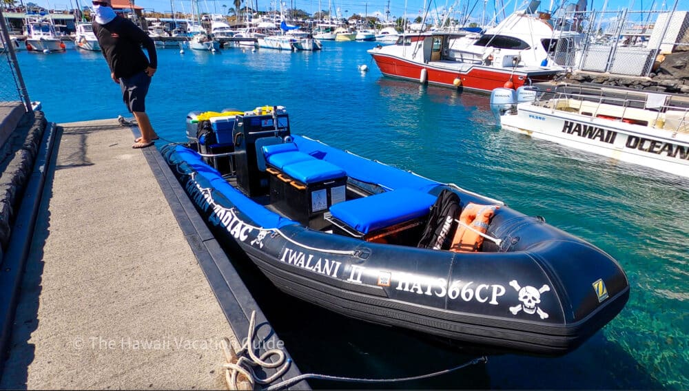 Wavebird Raft Whale Watching from the Kona Coast (small group raft) - The Hawaii ...