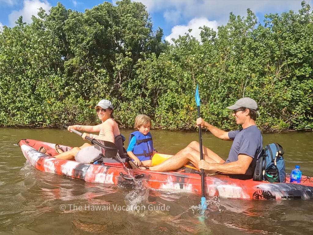 wailua river kayak tour kauai