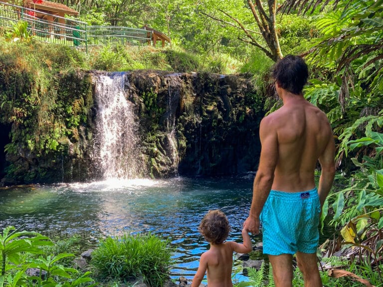 The 7 Best Road to Hana Tours: Find Your Perfect Guide