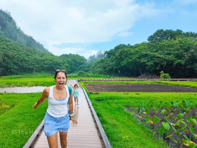 What to Do in Hawaii When it Rains