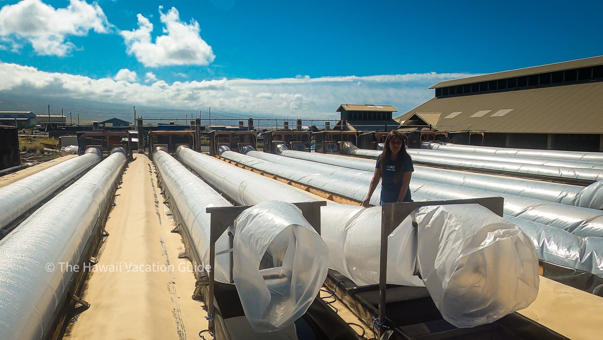 The 11 Best Big Island Farm Tours You Won't Want to Miss The Hawaii