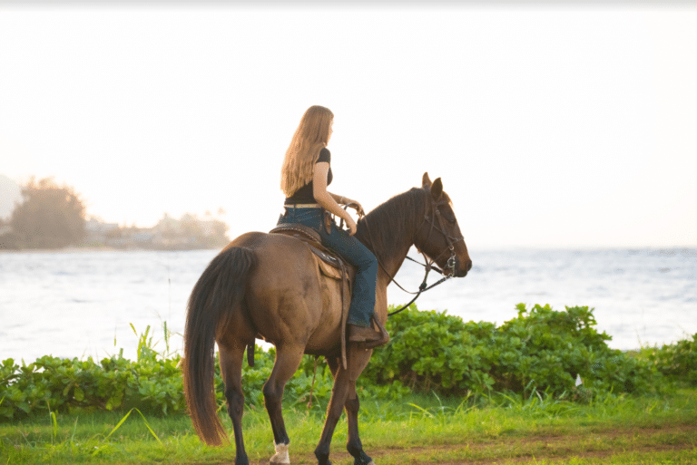 Oahu Horseback Riding on the Beach