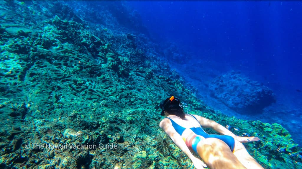 vacation rentals in Wailea molokini crater snorkeling