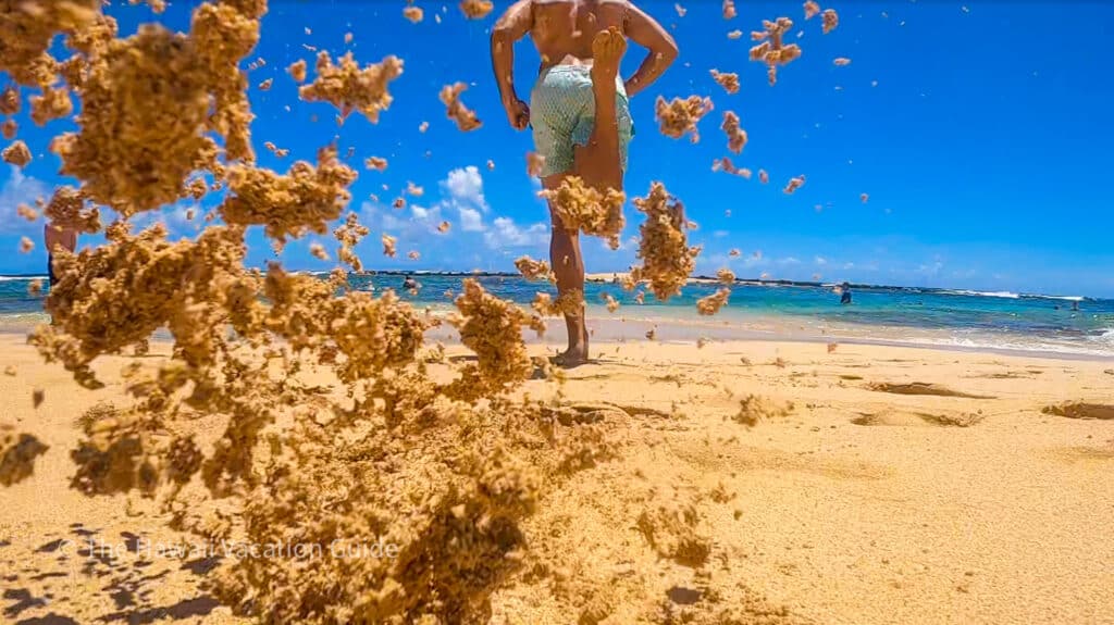 Big Island vs Kauai - Poipu Beach