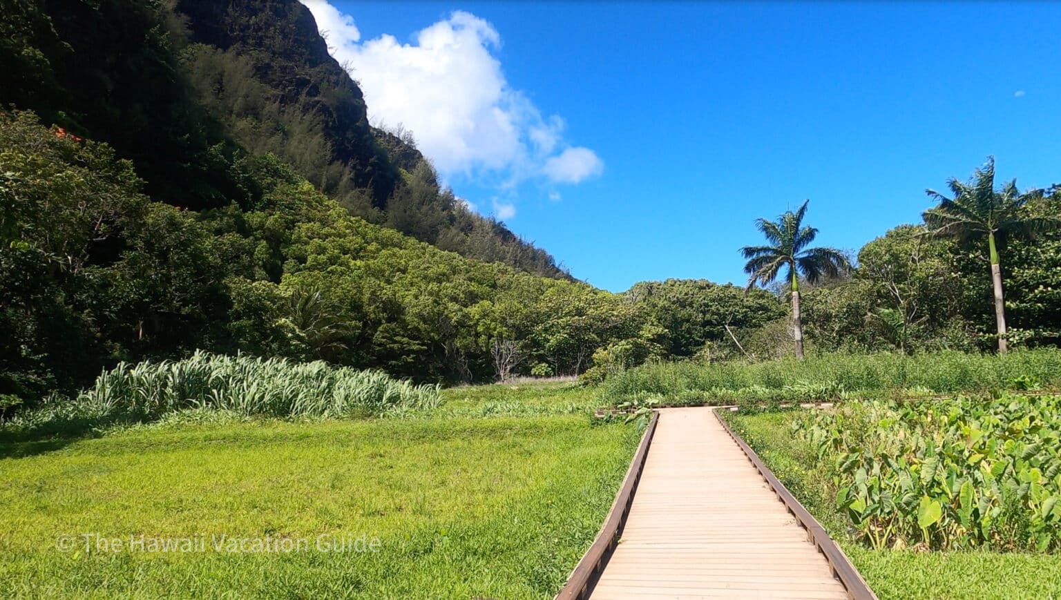 The 12 Best Things to Do in Hanalei: Kauai’s Rugged North Shore - The ...