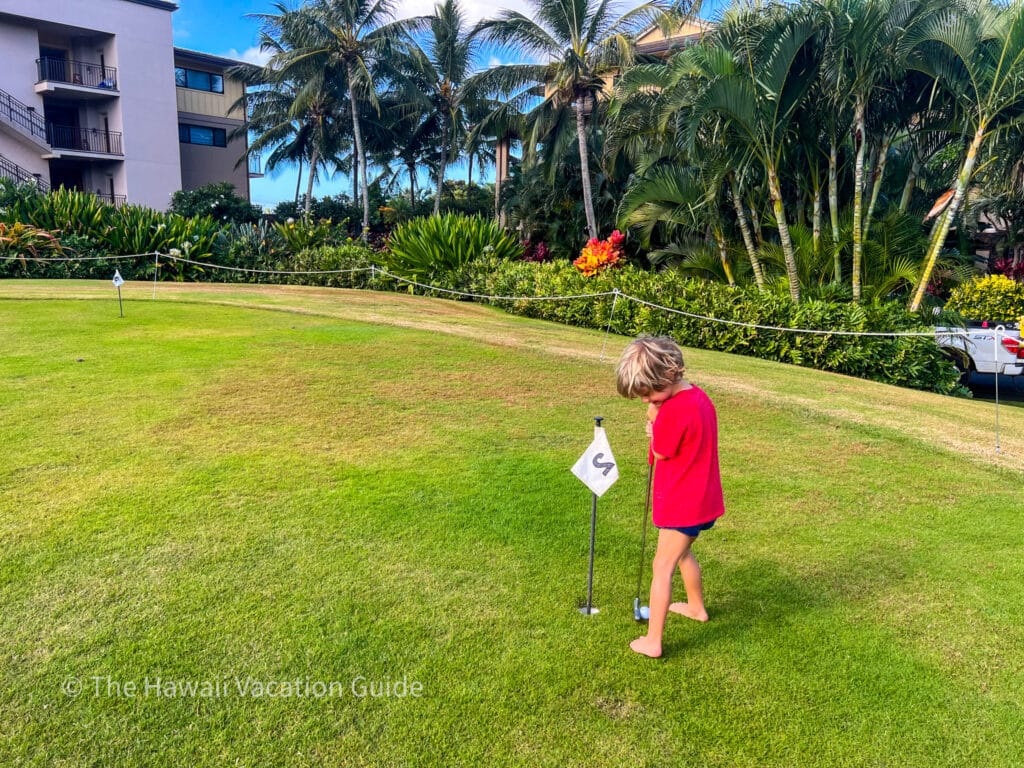 Things to do in Kapalua and Napili - Henry golfing