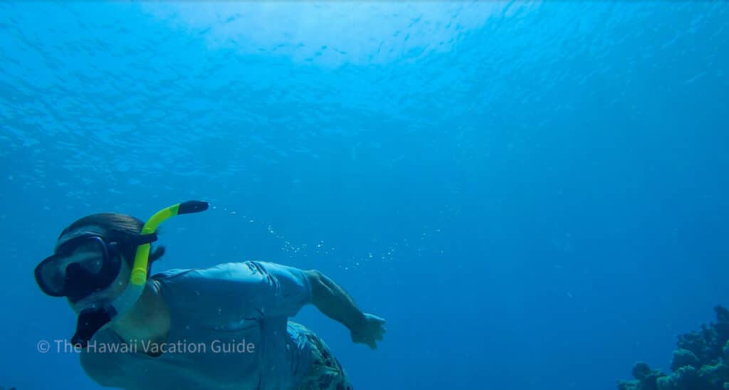 Captain Cook snorkeling tours are an awesome way to get out on the water