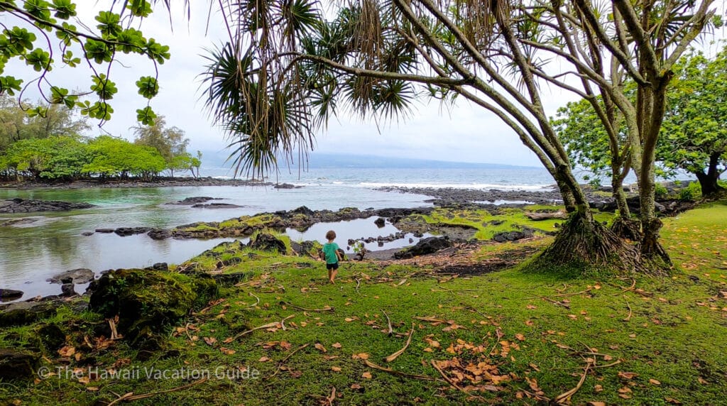 Things to do in Hilo - Richardson Ocean Park
