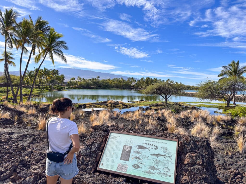 waikoloa things to do anchialine ponds