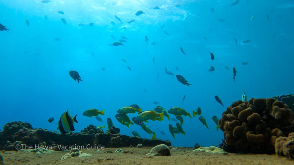 The best time to visit Oahu electric beach