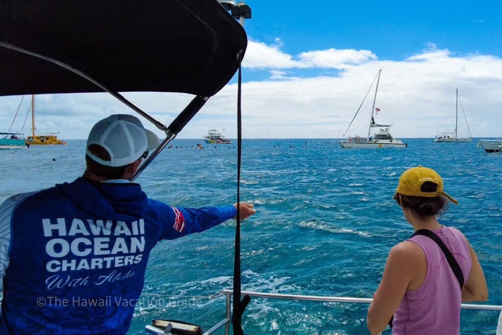 Waikiki snorkeling tour turtle canyon
