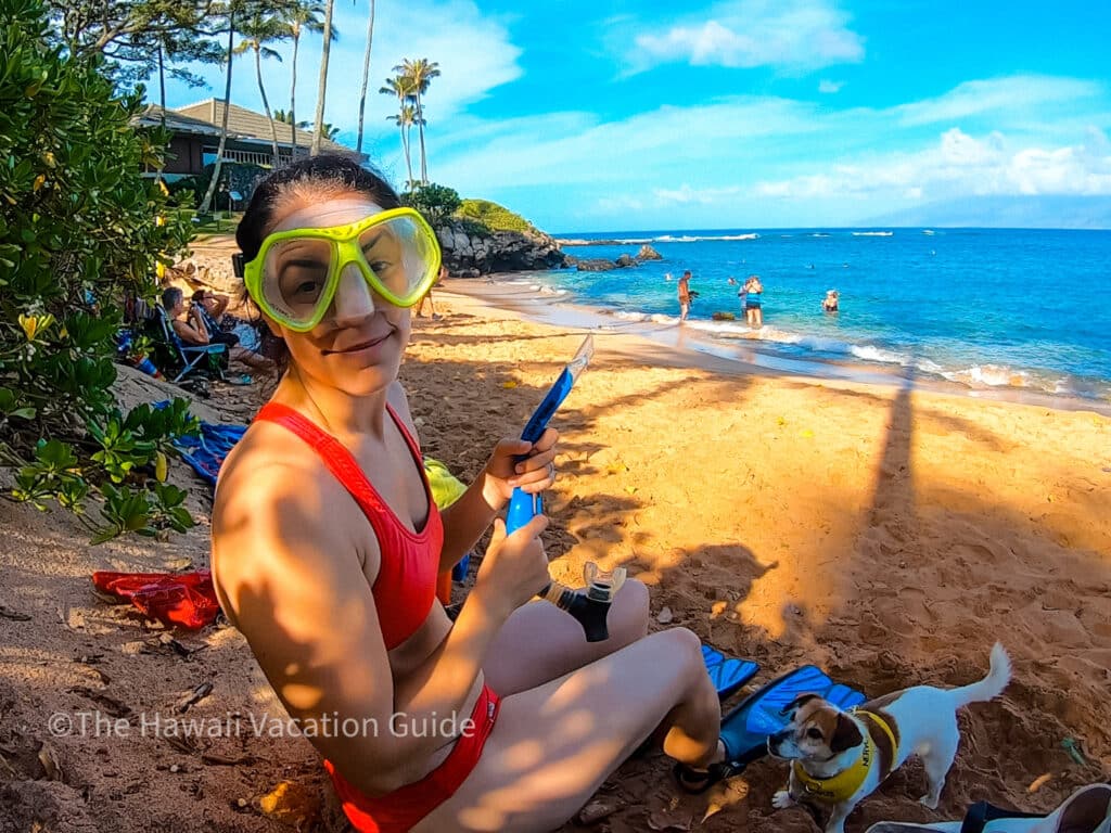Hawaii shark attack snorkel safety