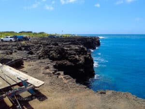 ULTIMATE South Point Hawaii Guide: Jumping, Green Beach, & More