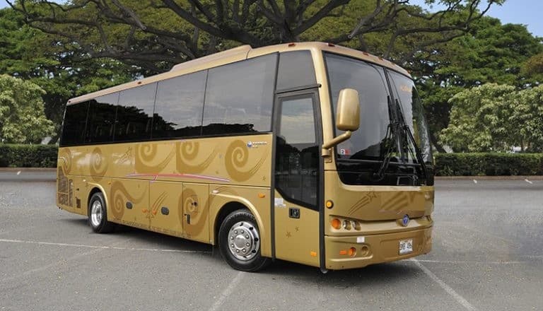 Mid-size coachbus oahu circle island tour