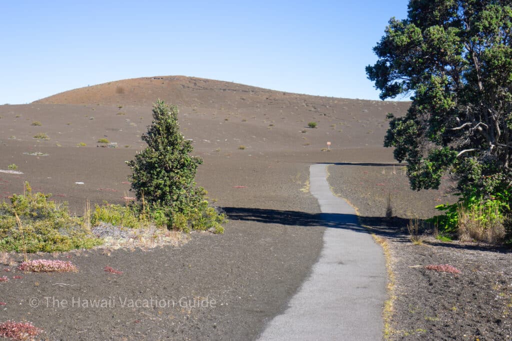 devastation trail at volcanoes national park