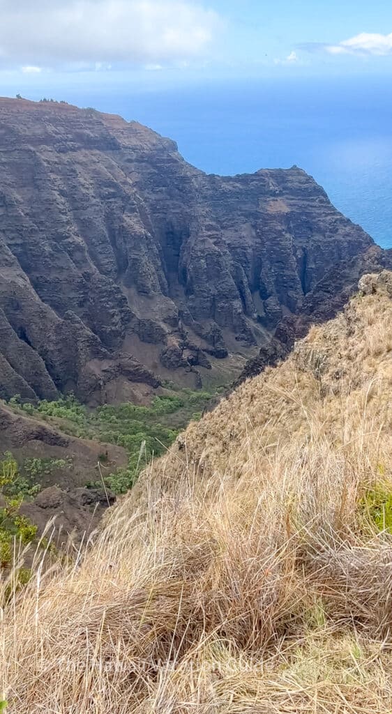 Awa'awapuhi Trail with a view of the Na Pali Coast