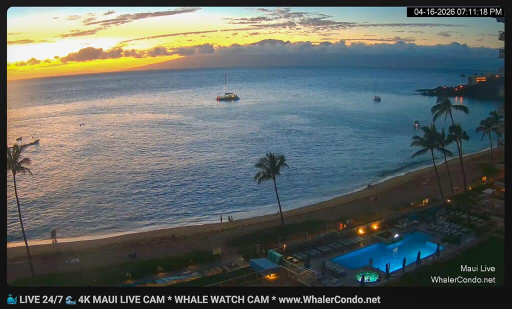 Maui Webcam Kaanapali Beach Live