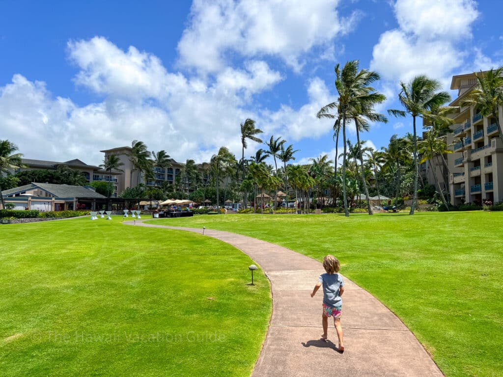 Ritz-Carlton Kapalua resorts vs wailea
