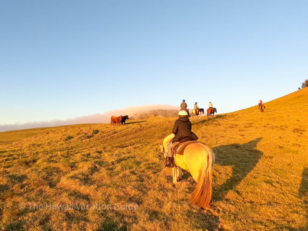 Big Island horseback riding Hawaii Paniolo Adventure Review