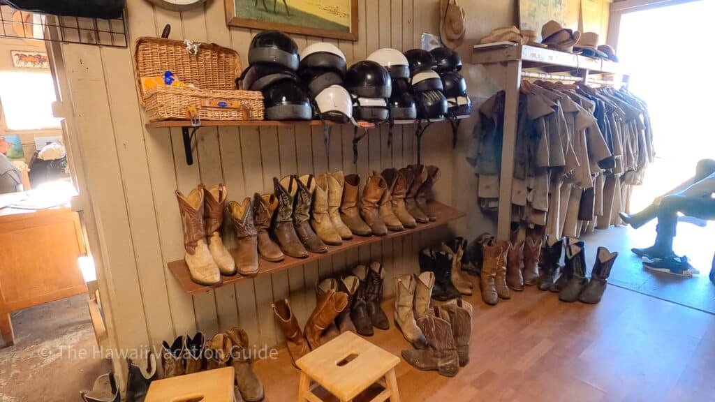 Big Island horseback riding equipment provided paniolo adventures
