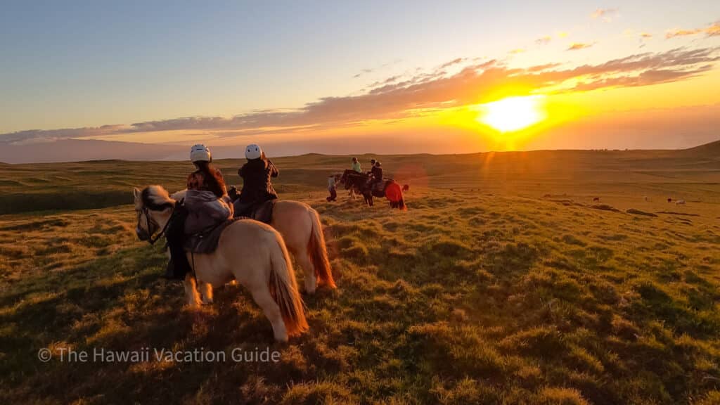 big island horseback riding sunset ride